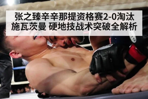 张之臻辛辛那提资格赛2-0淘汰施瓦茨曼 硬地技战术突破全解析