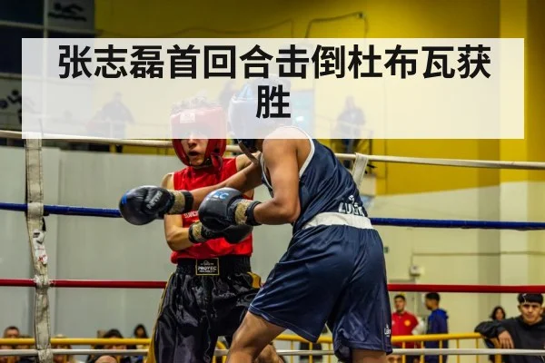 boxing match action